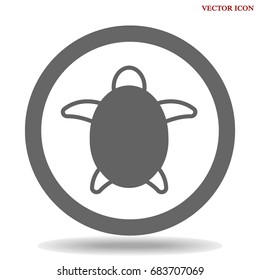 Turtle icon illustration isolated vector sign symbol.