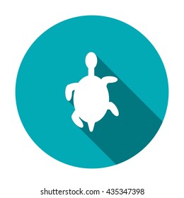 turtle Icon  isolated vector flat design