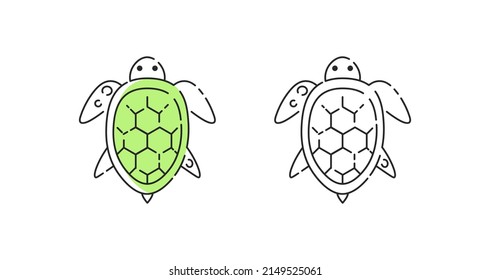 Turtle icon linear vector. Turtle logo symbol set in color and black.