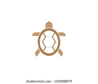 Turtle icon logo design vector