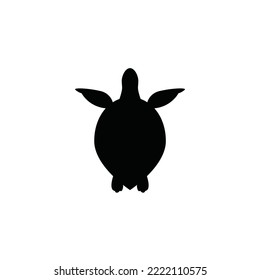 Turtle icon or logo isolated vector graphics