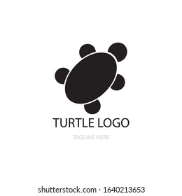 turtle icon logo vector design