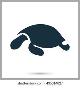 Turtle icon on the background