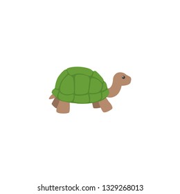 turtle icon on a white background