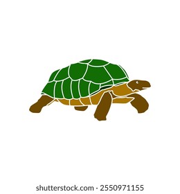 Turtle icon on the white background. Vector illustration. Eps 10