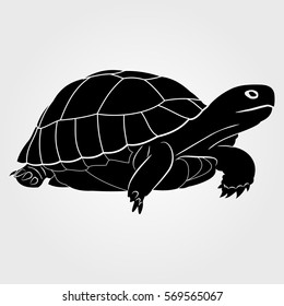 Turtle  icon on a white background