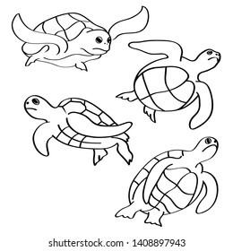 Turtle icon. Outline set turtle vector icon for web design isolated on white background