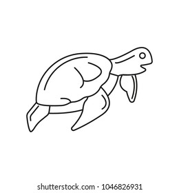 Turtle icon. Outline turtle vector icon for web design isolated on white background