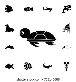 turtle icon. Set of cute aquatic animal icons. Web Icons Premium quality graphic design. Signs, outline symbols collection, simple icons for websites, web design, mobile app on white background