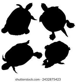 Turtle icon set silhouette mascot isolated on white background