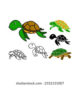 Turtle icon set. Vector illustration of turtle on white background.