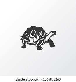 Schildkrötensymbol. Qualitativ hochwertiges, isoliertes Tortoise-Element im trendigen Stil.