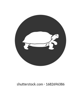 Turtle icon symbol. Premium quality isolated tortoise element in trendy style. Vector illustration