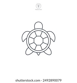 Turtle icon symbol vector illustration isolated on white background