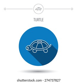 Turtle icon. Tortoise sign. Tortoiseshell symbol. Blue flat circle button. Linear icon with shadow. Vector