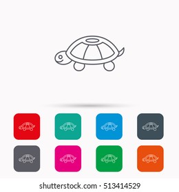 Turtle icon. Tortoise sign. Tortoiseshell symbol. Linear icons in squares on white background. Flat web symbols. Vector