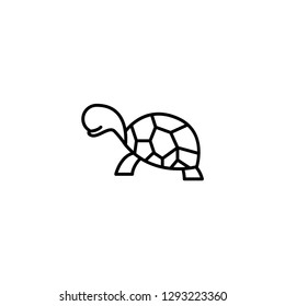 turtle icon  vector illustration