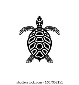 turtle icon, vector illustration of turtle