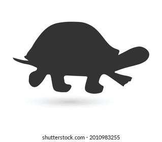 Turtle icon. Vector turtle illustration