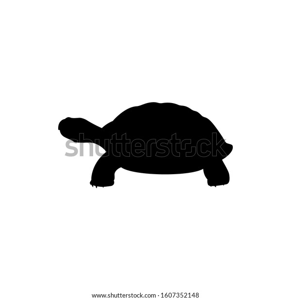 Turtle Icon Vector Illustration Turtle Stock Vector (Royalty Free ...