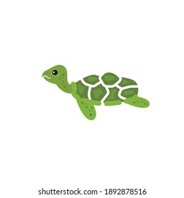 turtle icon vector illustration design