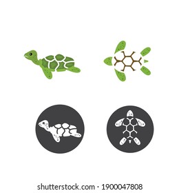 turtle icon vector illustration design