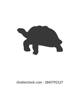 Turtle icon, vector illustration in flat svg