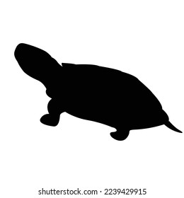 turtle icon vector illustration logo template