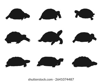 turtle icon, vector illustration of a turtle. Silhouettes of Various Tortoise Species in Different Walking Positions. tortoise silhouette set collection isolated black on white background.