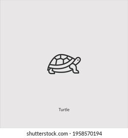 turtle icon vector isolated on white background