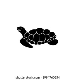 turtle icon vector sign symbol