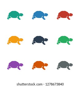turtle icon white background. Editable filled turtle icon from animals. Trendy turtle icon for web and mobile.