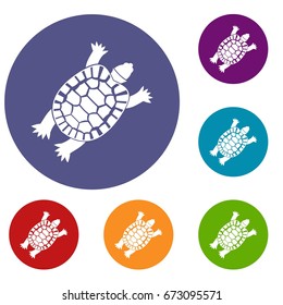 Turtle icons set in flat circle reb, blue and green color for web