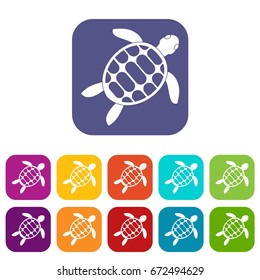 Turtle icons set vector illustration in flat style In colors red, blue, green and other