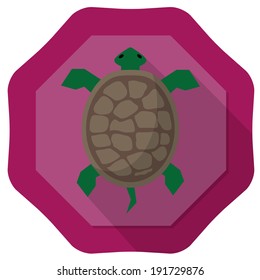 turtle illustration