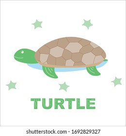 turtle illustration card and poster vector design 