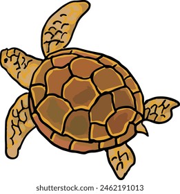 Turtle Illustration
EPS, RGB Color