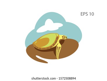 Turtle illustration, flat vector image.