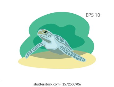 Turtle illustration, flat vector image.