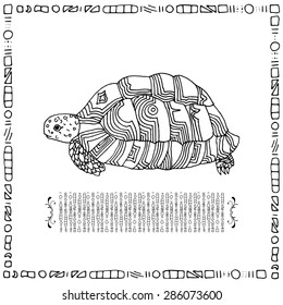 Turtle illustration with frame on simple white background