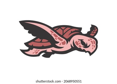 turtle illustration mascot vector drawing