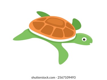 Turtle illustration. Tortoise. Capsize. Reptile. Turtleneck. Terrapin. Slowpoke. Tortoiseshell. Sea creatures. Underwater animal.