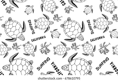 turtle illustration vector graphic