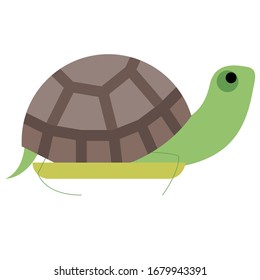 turtle illustration vector icon flat design