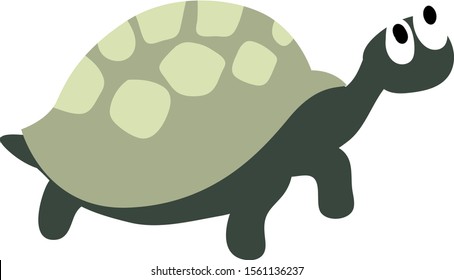 Turtle, illustration, vector on white background.