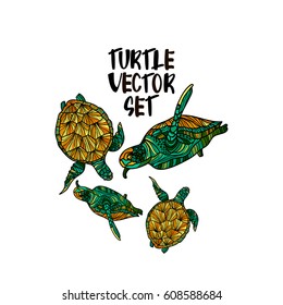 Turtle illustration vector set.