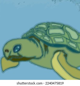 Turtle immigrates. The turtle swims into the sea
