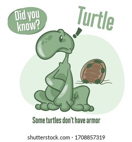 Turtle. Interesting facts about tortoise. Did you know? 