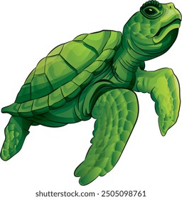 A turtle is interesting to use in all creative media.
