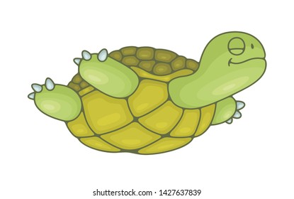 Turtle. isolated on white background